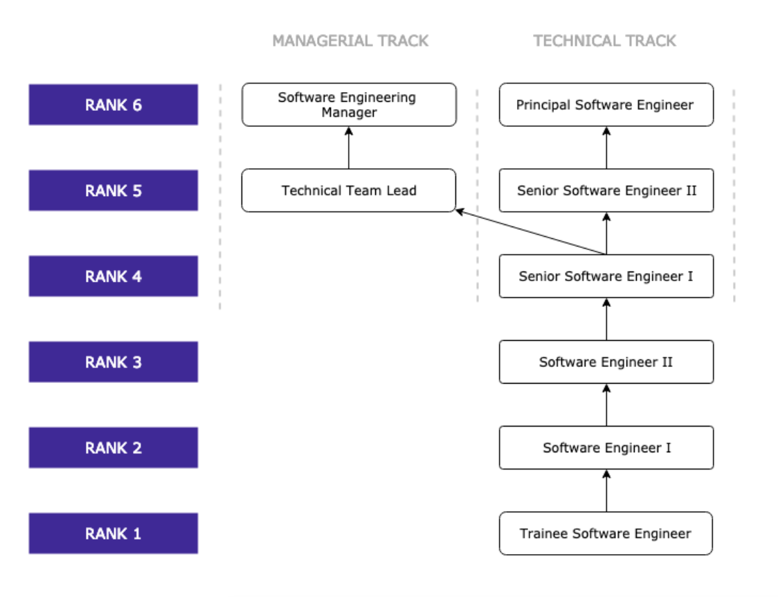 Software developer career deals path